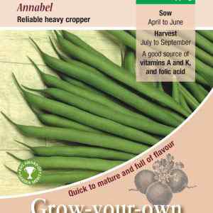 Dwarf French Bean, Annabel