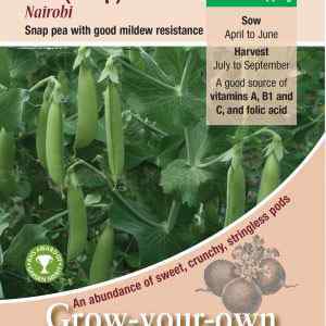 Pea, Nairobi (Sugar Snap)