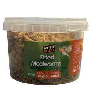 Dried Mealworms