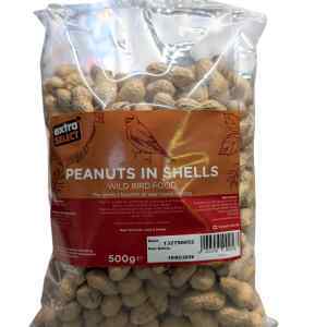 Peanuts in Shells - 500g