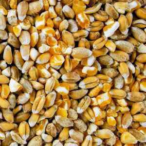 Mixed Corn 20kg