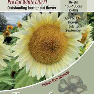 Pro Cut White Lite F1