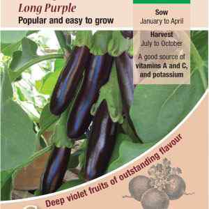 Aubergine, Long Purple