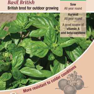 Basil, British