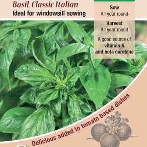 Basil, Classic Italian