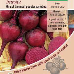 Beetroot, Detroit 2
