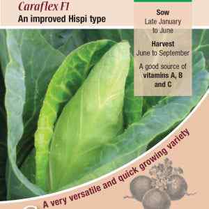 Cabbage, Caraflex F1