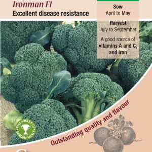 Calabrese, Ironman F1