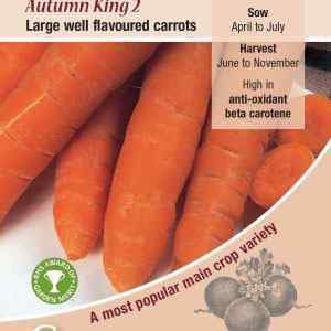 Carrot, Autumn King 2