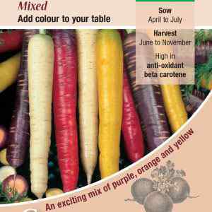 Carrot, Mixed