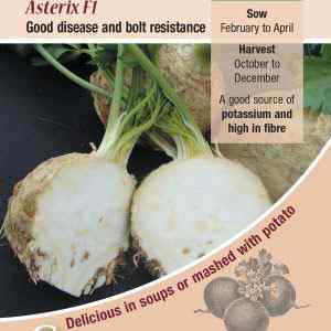 Celeriac, Asterix F1