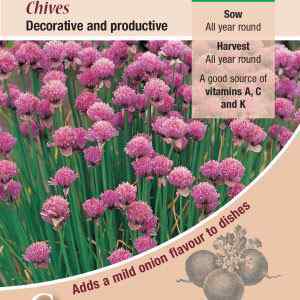 Chives