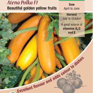 Courgette, Atena Polka F1