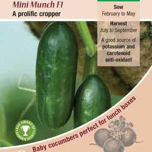 Cucumber, Mini Munch F1