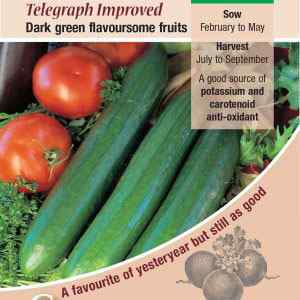 Cucumber, Telegraph Improved