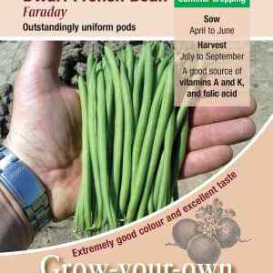 Dwarf French Bean, Faraday