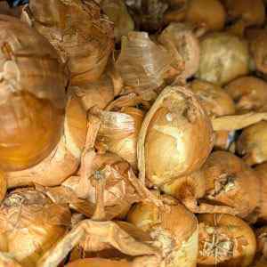 Golden Gourmet - Spring Planting