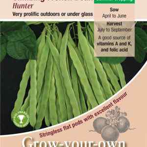 Climbing French Bean, Hunter