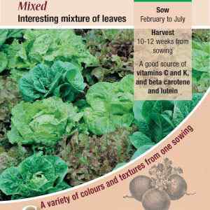Lettuce, Mixed