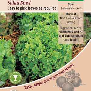 Lettuce, Salad Bowl