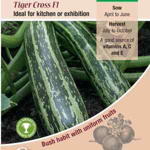 Marrow, Tiger Cross F1