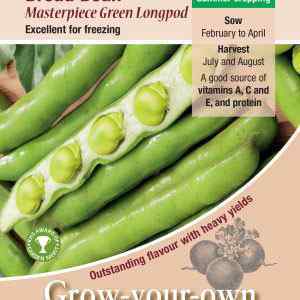Broad Bean, Masterpiece Green Longpod