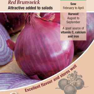 Onion, Red Brunswick