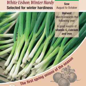 Onion (Spring), White Lisbon Winter Hardy