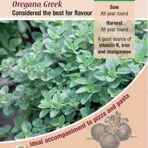 Oregano, Greek