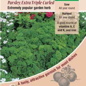 Parsley, Extra Triple Curled