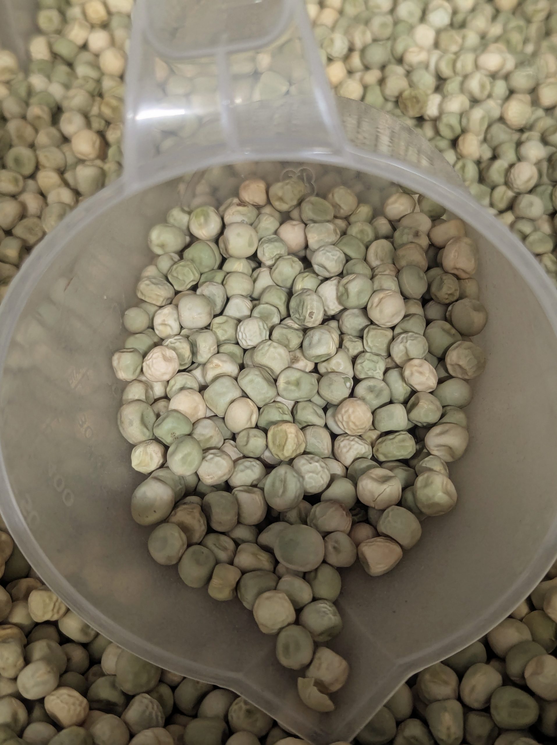 PEA - DOUCE PROVENCE