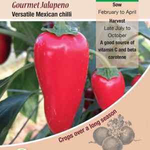 Pepper (Chilli), Gourmet Jalapeno