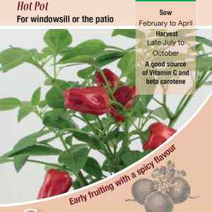 Pepper (Chilli), Hot Pot