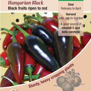 Pepper (Chilli), Hungarian Black