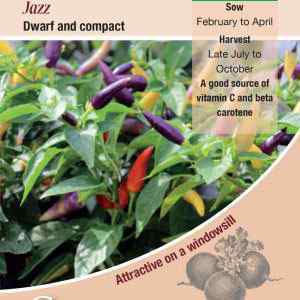 Pepper (Chilli), Jazz