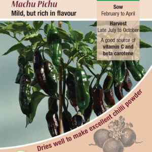 Pepper (Chilli), Machu Pichu
