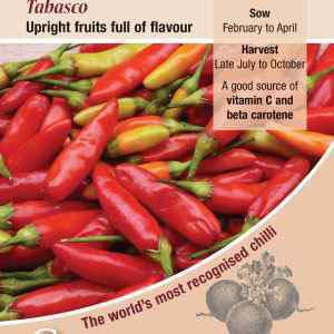 Pepper (Chilli), Tabasco