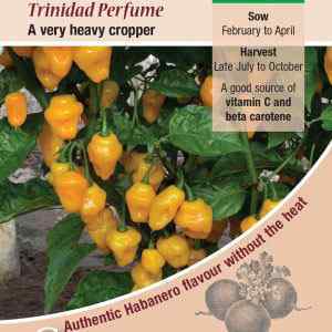 Pepper (Chilli), Trinidad Perfume