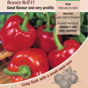 Pepper (Sweet), Beauty Bell F1