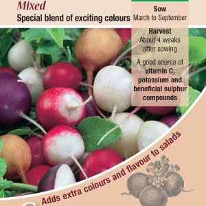Radish, Mixed