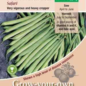 Dwarf French Bean, Safari