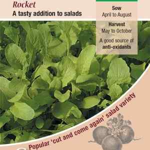 Salad Leaf, Rocket