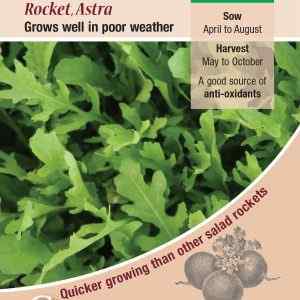 Salad Leaf, Rocket Astra