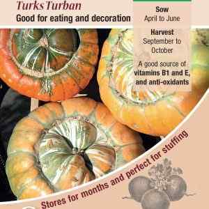 Squash (Winter), Turks Turban