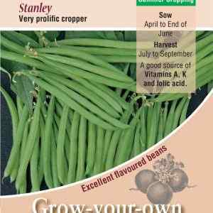 Dwarf French Bean, Stanley