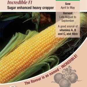 Sweet Corn, Incredible F1