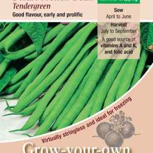Dwarf French Bean, Tendergreen