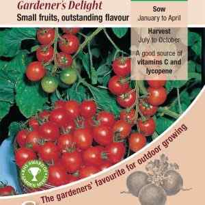 Tomato, Gardener's Delight
