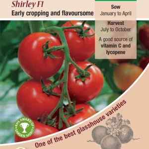 Tomato, Shirley F1