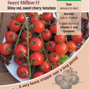Tomato, Sweet Million F1